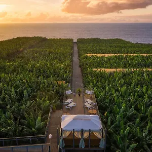 https://hacienda-la-dehesa-adults-only.in-canary-islands.com